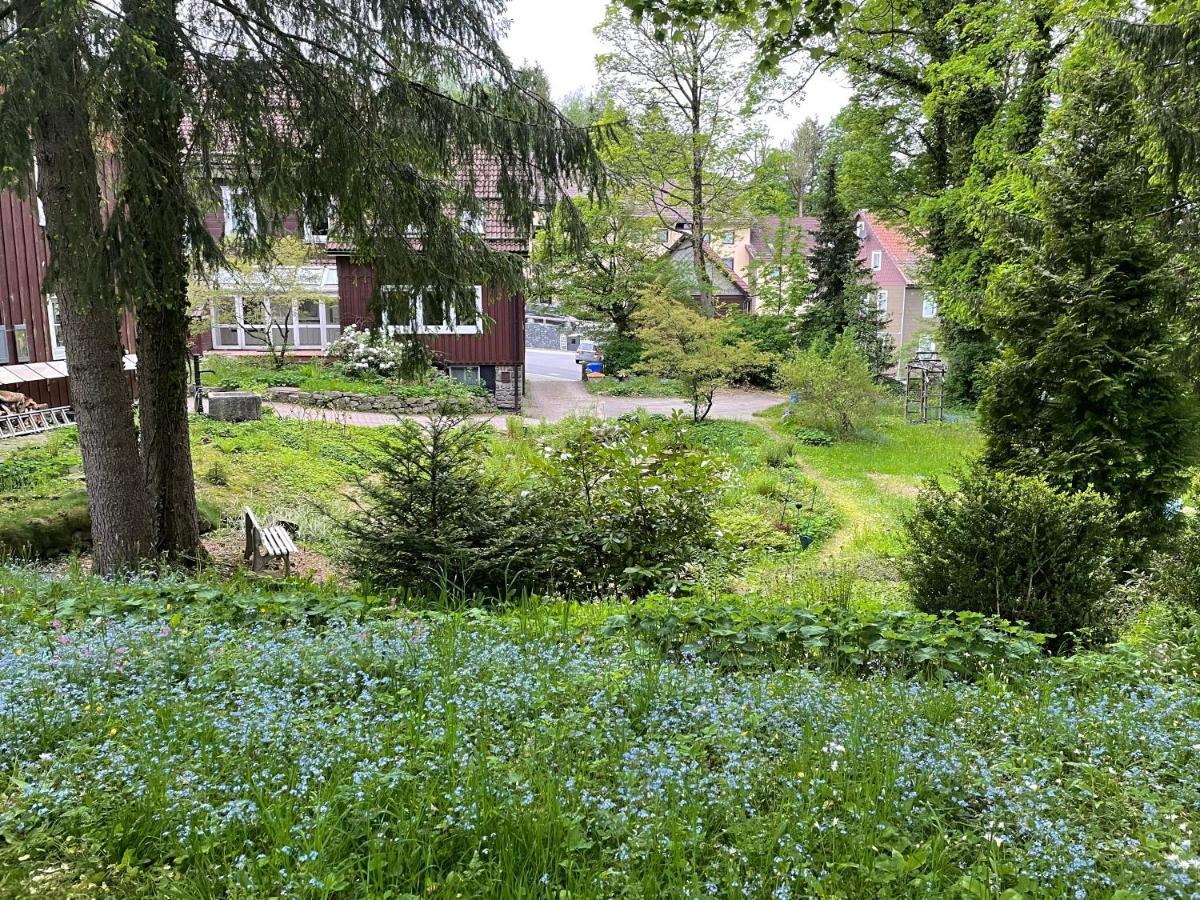 Liebevoll Eingerichtetes Ferienhaus Mit Grossem Garten Clausthal-Zellerfeld Zewnętrze zdjęcie