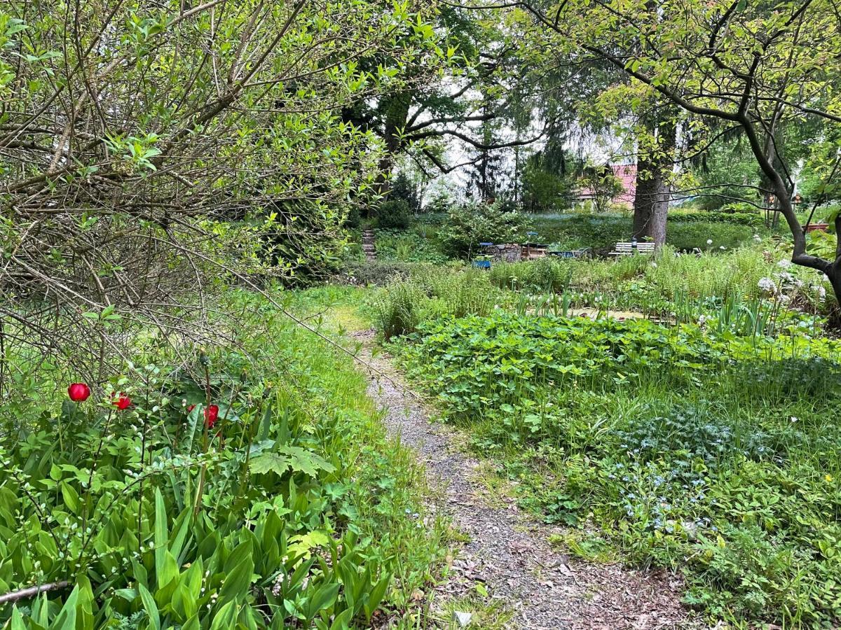 Liebevoll Eingerichtetes Ferienhaus Mit Grossem Garten Clausthal-Zellerfeld Zewnętrze zdjęcie